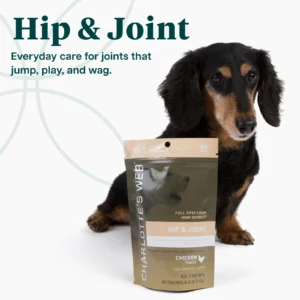 Charlotte's Web Hip and Joint Chews