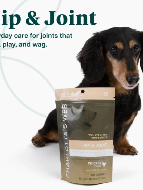 Charlotte's Web Hip and Joint Chews