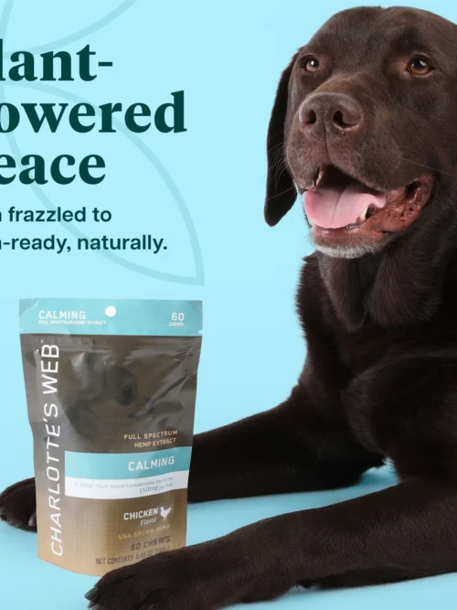 Charlotte's Web Calming Chews