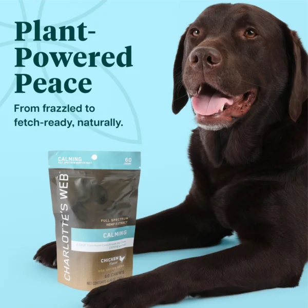 Charlotte's Web Calming Chews