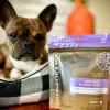 Charlotte's Web Canine Allergy & Skin Health Chews