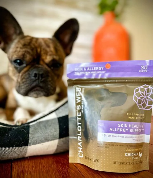 Charlotte's Web Canine Allergy & Skin Health Chews