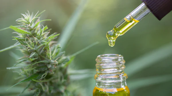 The Origins of CBD