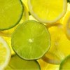 Charlotte's Web Calm Gummies-Lemon Lime Flavor