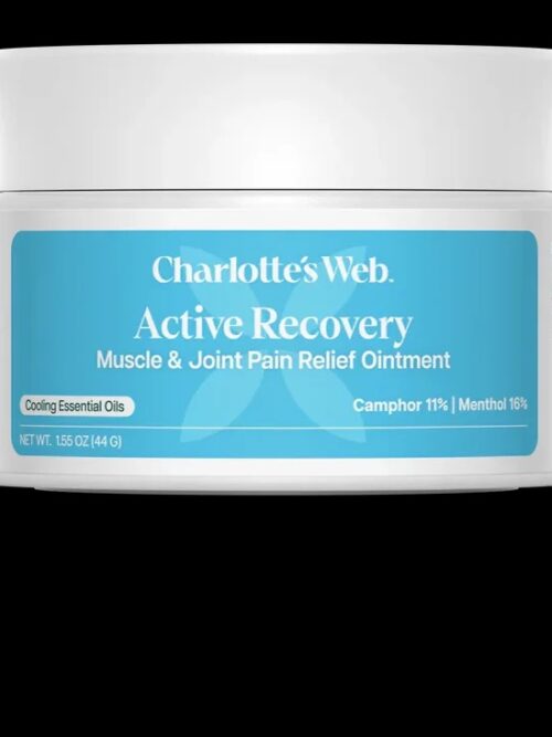 SED-Active Recovery Muscle & Joint Pain Relief Ointment