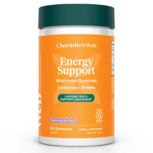 Energy Support Mushroom Gummies