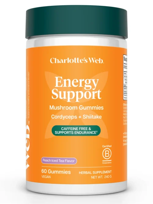 Energy Support Mushroom Gummies